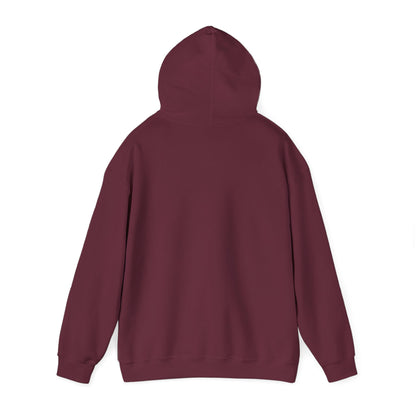 Coffin Girl Hoodie – Japanese Self Care Graphic Pullover